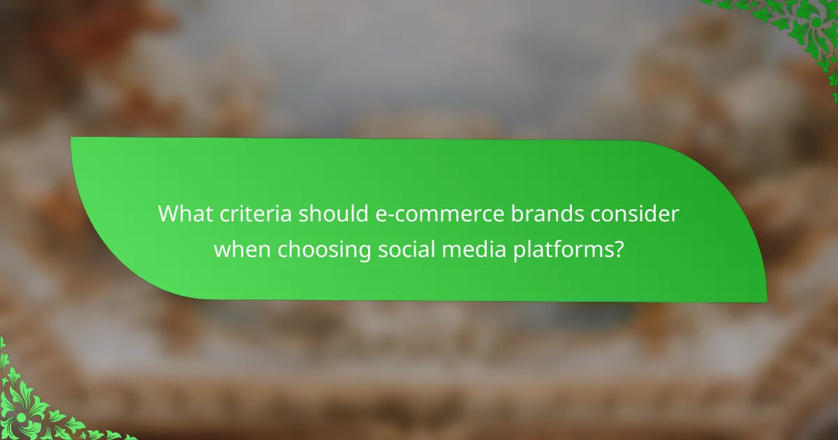 What criteria should e-commerce brands consider when choosing social media platforms?