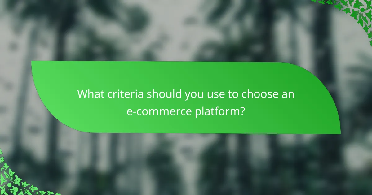 What criteria should you use to choose an e-commerce platform?